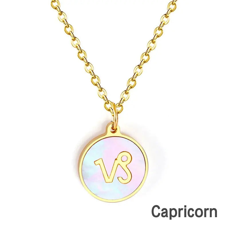 Shell Pendant Twelve Constellation Stainless Steel Necklace Man Jewelry For Women Choker Chain Necklace Collar 2021 asonjewelry