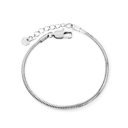 2.0mm/2.4mm Square Snake Bone Bracelet 18+3cm+6mm Round Tail Plaque Steel/Golden asonjewelry