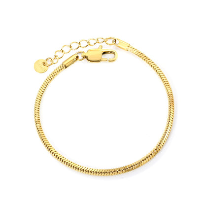 2.0mm/2.4mm Square Snake Bone Bracelet 18+3cm+6mm Round Tail Plaque Steel/Golden asonjewelry