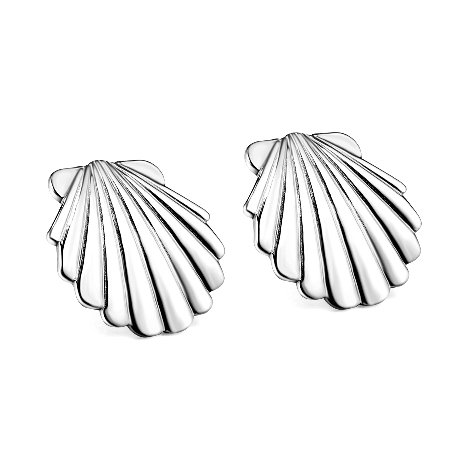 Smooth Shell 24.8mm Stud Earrings asonjewelry