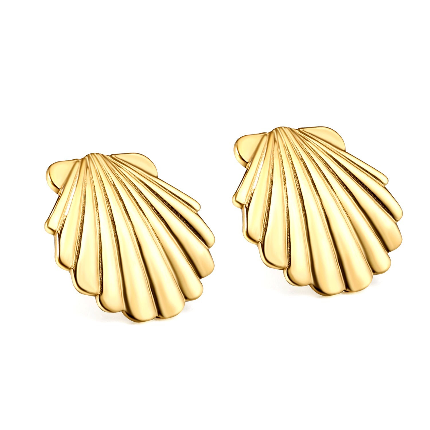 Smooth Shell 24.8mm Stud Earrings asonjewelry