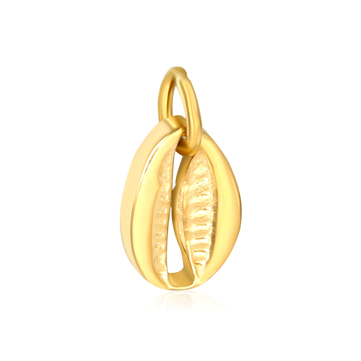 Double-sided hollow shell 8x11.5mm with 1x6 open rings, accessories in gold (no necklace) asonjewelry