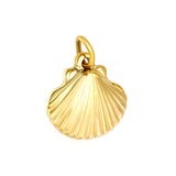 Shell 15x16mm with 1x6 open rings, accessories in gold (no necklace)
