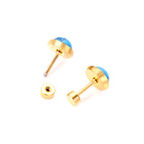 12 pairs 4mm/6mm/8mm Steel Color/Gold Turquoise Screwback Earrings
