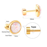 12 pairs steel/golden round crushed stone ombre screwback stud earrings