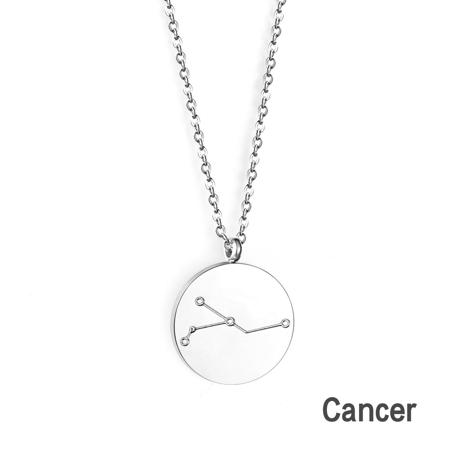 12 Zodiac Signs Virgo & Aquarius & Pisces & Gemini & Scorpio & Libra & Aries & Taurus & Cancer & Capricorn & Leo & Sagittarius Pendant Necklace asonjewelry