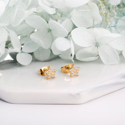 6.8mm Pentagram with CNC White Zirconia Stud Earrings Steel/Gold asonjewelry