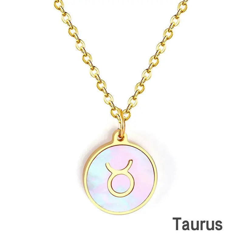 Shell Pendant Twelve Constellation Stainless Steel Necklace Man Jewelry For Women Choker Chain Necklace Collar 2021 asonjewelry